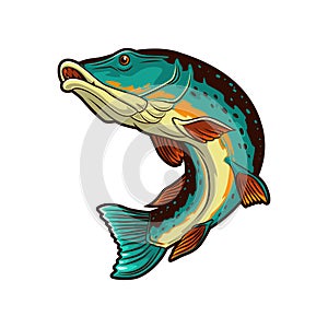 pike fish illustration vector design