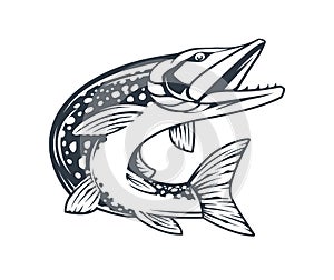 Pike Fish Monochrome Vector Isolated