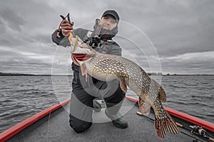 Pike fishing. Happy fisherman with big fish trophy at the boat with tackles photo