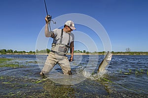 Pike fishing. Happy fisherman fights with big fish in water at river