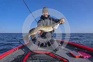 Pike fishing. Successful fisherman hold big muskie fish photo