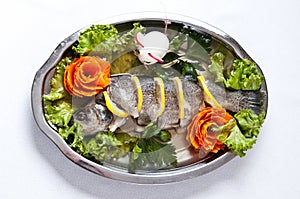 Pike perch elegant dish served