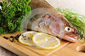 Pike perch on a kitchen board