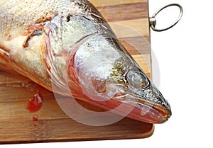 Pike perch on a wooden board