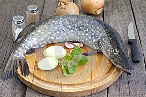 Pike raw fish preparation to baking