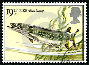 Pike UK Postage Stamp