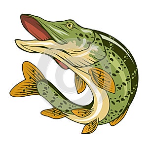 Pike. Vector illustration of a jumping fish. Fishing logo. Angry fish