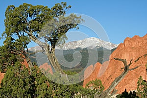 Pikes Peak from the Garden of the Gods