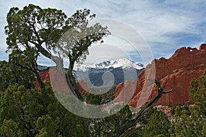 Pikes Peak from the Garden of the Gods photo