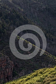 Pikes peak mountain range colorado springs