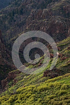 Pikes peak mountain range colorado springs