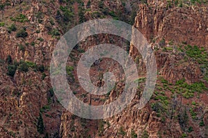 Pikes peak mountain range colorado springs