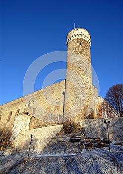 Pikk Hermann or Tall Hermann Tower in Tallinn, Estonia