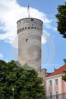 Pikk Hermann tower.