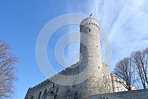 Pikk Hermann tower in Tallinn.