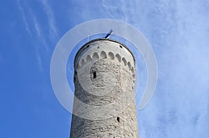 Pikk Hermann tower in Tallinn.