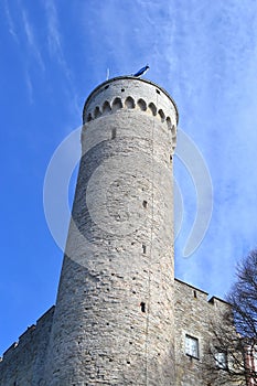 Pikk Hermann tower in Tallinn.