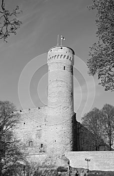 Pikk Hermann tower of Toompea Castle, Tallinn, Estonia