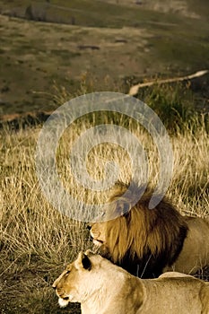 Pilanesberg National Park