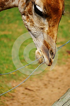 Pilanesberg National Park