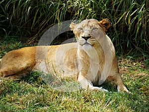 Pilanesberg National Park