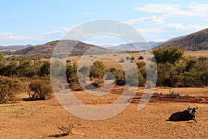 Pilanesberg national park