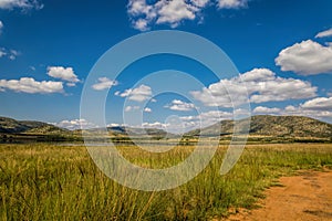 Pilanesberg National Park Game Reserve, South Africa