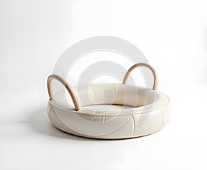 Pilates Ring Isolated on White