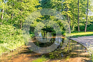 Pilawa river in Szwecja village, Poland