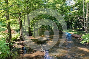 Pilawa river between trees in Poland