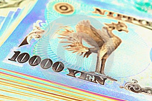 A pile of 10000 yen Japanese banknotes. The reverse of the banknote with the image of the Phoenix bird close-up. Vivid tinted