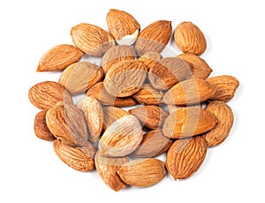 Pile of of apricot kernels closeup on white