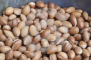 Pile of argan seeds at a Moroccan farmer`s market, in Marrakesh