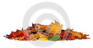 Pile of autumn colored leaves isolated on white background