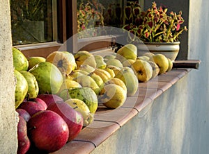 A pile of Autumn, Fall fruit on a windowsill