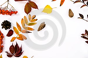 Pile of autumn leaves, pine cones nuts over white background. collection beautiful colorful leaves border from autumn