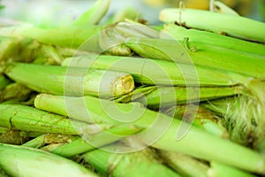 Pile of baby corn in the market