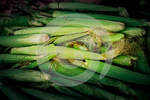 Pile of baby corn in the market