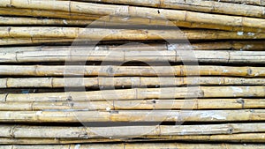 Pile of Bamboo for backgrond