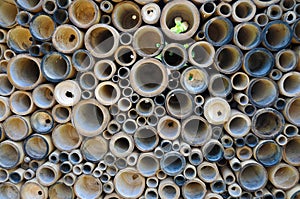 Pile of bamboo canes piled up