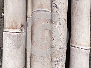 a pile of bamboo that dries brown