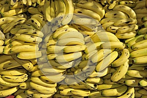 Pile of Bananas