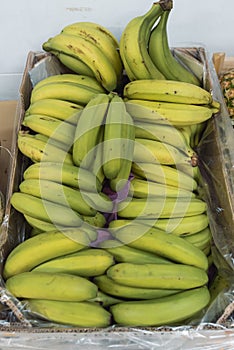A pile of bananas placed inside a box photo