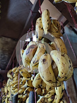 Pile of Bananas, ripe, yellow and fresh.