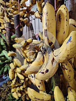 Pile of Bananas, ripe, yellow and fresh.