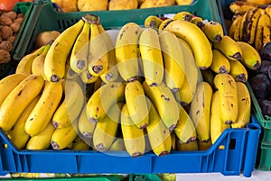 Pile of bananas for sale at Porto market (Mercado do Bolhao