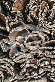 Pile of bark from cork