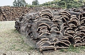 Pile of bark from cork