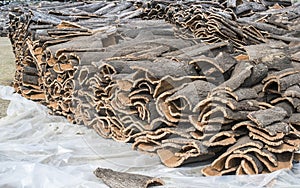 Pile of bark from cork