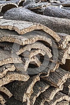 Pile of bark from cork